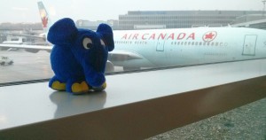 Elefant im Flughafen Calgary 