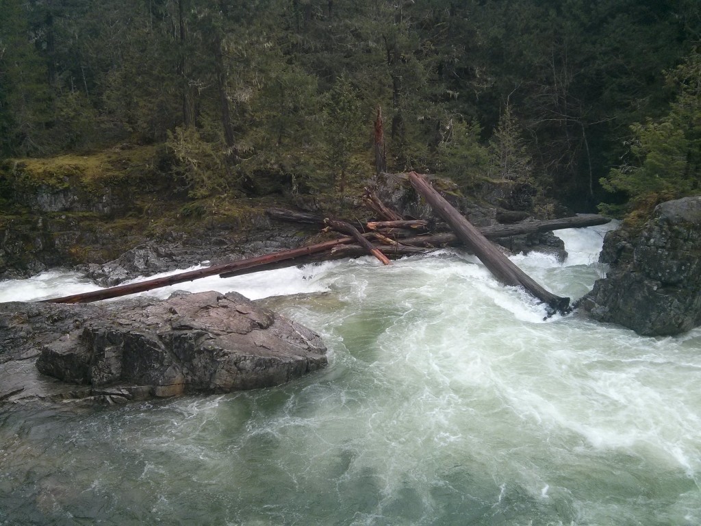Ein Fluss teilt sich in zwei Arme auf