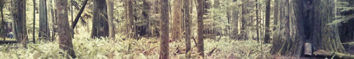 Tropenbäume nahe Qualicum Beach