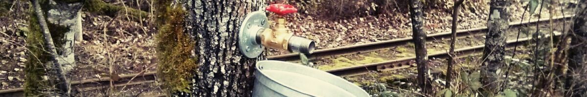 Ahornblatterzeugnisse