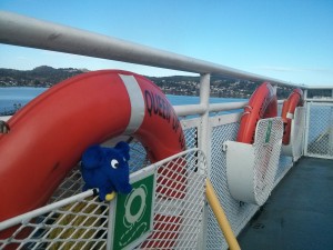 Elefant auf der Nanaimo-Fähre