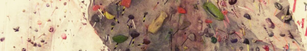 Das Aktivitätsangebot der VIU