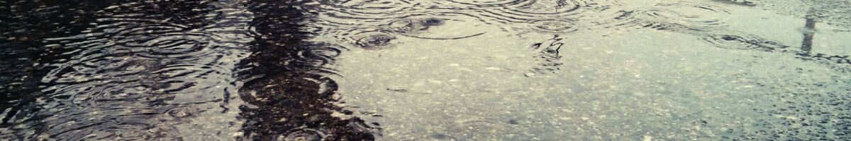 EILMELDUNG: Es regnet in BC!!   ~schon wieder.