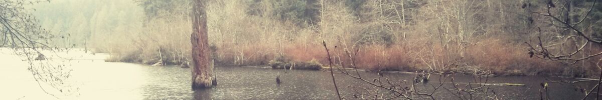 Westwood Lake Park (Deutsch)