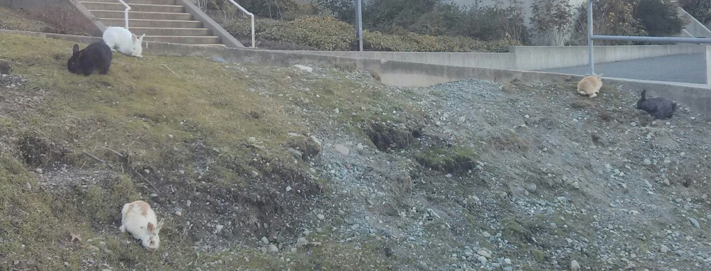 20160403_200832.jpg