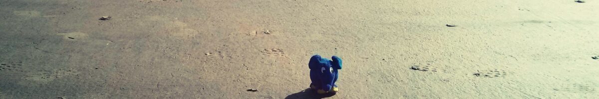 Die Reise mit dem Elefanten